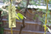 まめや201307.JPG